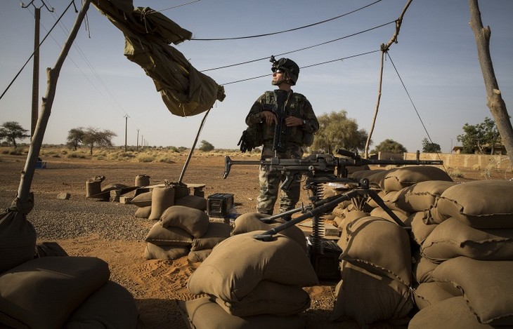 Международная коалиция продолжит поддержку иракских войск в борьбе с ИГ - ảnh 1